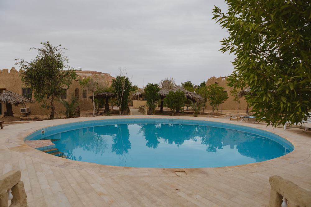 Illustration of the Enchanted Forest