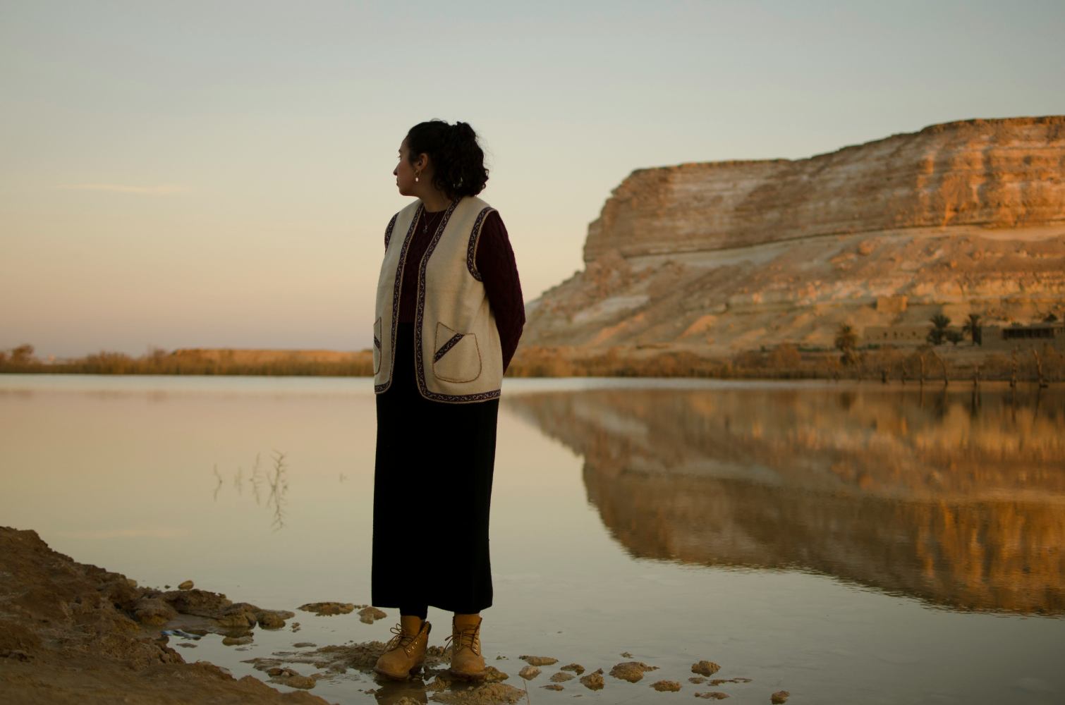 Illustration of the Enchanted Forest